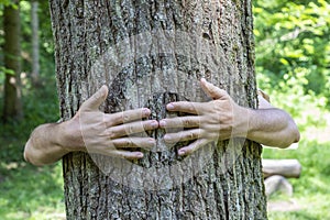 Embrassing the old tree gives a good feeling photo