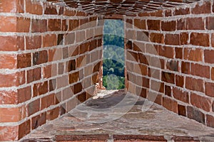 Embrasure photo