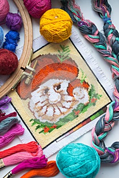 Embroidered mushroom with yarn for colour knitting and tambour