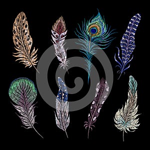 Embroidery feathers. Birds feather ethnic design, boho style patches. Hand stitch tribal elements, peacock wings