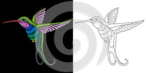 Embroidery hummingbird design