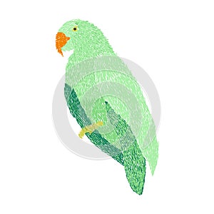 Embroidery parrot design for clothing. bird vector decoration