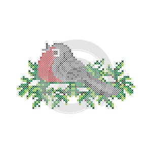 Embroidery pattern, cross stitch ornament. Bullfinch bird on fir tree, vector.