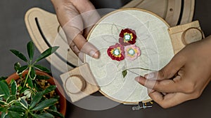 Embroidery Stand Hoop, craft and needlework with plants around it Top View