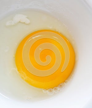 Embryo in the egg albumen and yolk, organic eggs