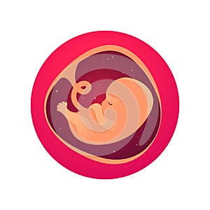 Embryo, the first month of pregnancy.