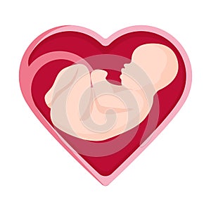 Embryo in heart shape inside human vector illustration unborn person