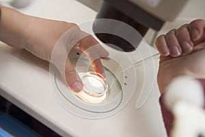 Embryologist adding sperm to egg