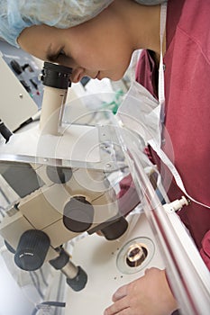 Embryologist adding sperm to eggs