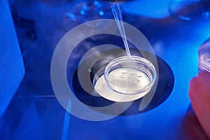 Embryologist covering cell samples with mineral oil in culture plate