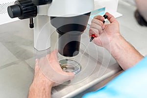 Embryologist or lab technician adjusting needle to fertilize a human egg under the microscope. Doctor adding sperm to egg using mi