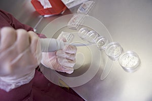 Embryologist preparing cultures