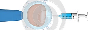 Embryology