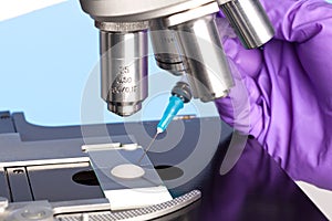 Embryology sample and microscope