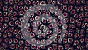 Embryonic dark purple stem cells colony under a microscope 3D illustration