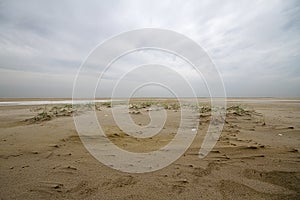 Embryonic dune on beach under dark sky