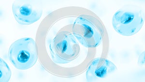 Embryonic stem cell. Human cell.