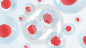 Embryonic stem cell. Human cell.