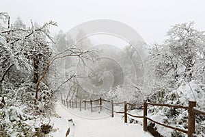 Emei Mountain scenery