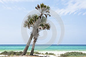 The Emerald Coast and Beach