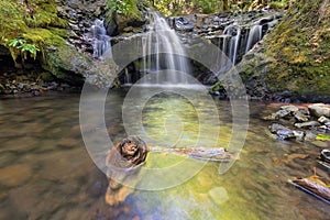 Emerald Falls along Gorton Creek with Driftwood in Oregon