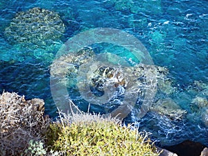 Emerald green  and blue atlantic with extreme colour due to the oxygenation of the water