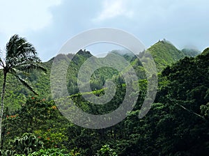 Emerald green Iao Valley, Maui