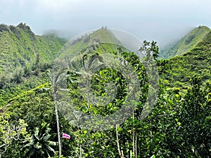 Emerald green Iao Valley, Maui