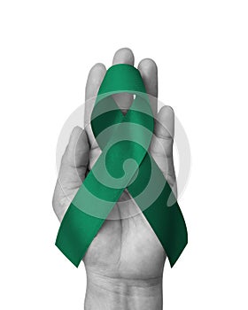 Emerald Green (Jade) ribbon awareness color for Liver Cancer and Hepatitis B - HVB month (bow isolated)