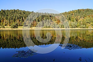 emerald-green lake Ober See near lake Alatsee on a fine autmn day in Bad Faulenbach (Fuessen, Bavaria in Germany)