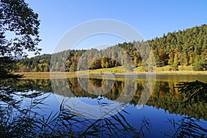 emerald-green lake Ober See near lake Alatsee on a fine autmn day in Bad Faulenbach (Fuessen, Bavaria in Germany)