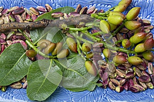 Emerald green pistachios nuts from town Bronte, located on slopes of Mt. Etna, Sicily, Italy regional product