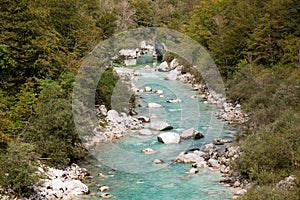 Emerald green Soca river finding its way through rocky forest in Slovenia