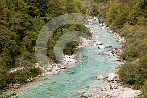 Emerald green Soca river finding its way through rocky forest in Slovenia