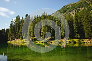 Emerald green waters of an alpine lake in the forest.