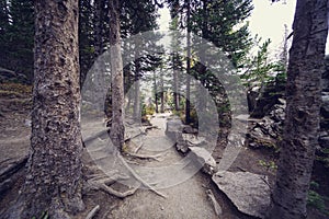 The Emerald Lake, Bear Lake and Nymph Lake trail in Rocky Mountain Natioanl Park Colorado, through the trees