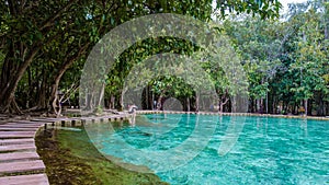 Emerald lake and Blue pool Krabi Thailand mangrove forest Krabi Thailand.