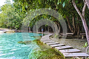 Emerald lake and Blue pool Krabi Thailand mangrove forest Krabi Thailand.
