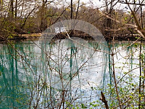 Emerald lake among the forest in wild thickets.