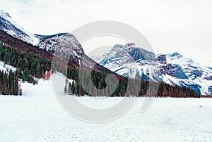 Emerald Lake lodge sitting tall through diverse Canadian winter
