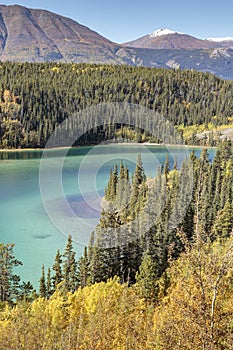 Emerald lake near Carcross.