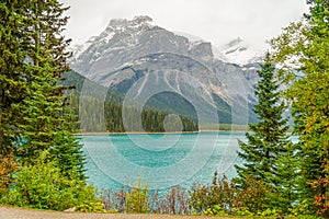 Emerald Lake, a snow covered mountain and forest - view from the opposite bank through an opening in the pine trees