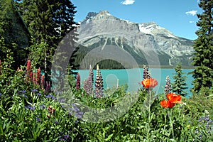 Emerald lake in summer