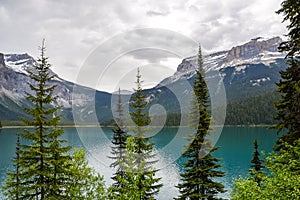 Emerald Lake Through the Trees