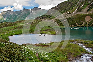 Emerald mountain lake surrounded by green grass and flowers