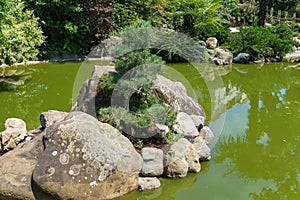 Emerald pond with fish and turtles in the Russian-Japanese Friendship Garden on Kurortny Prospekt
