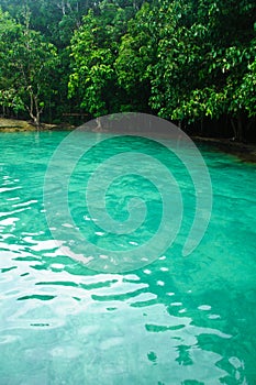 The Emerald pond, Krabi, Thailand