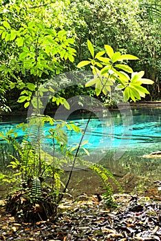 Emerald pool