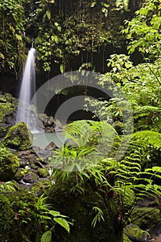 Emerald pool