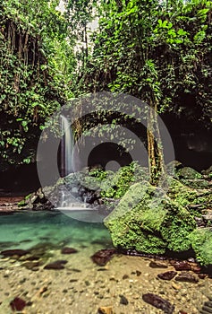 Emerald pool on Dominica